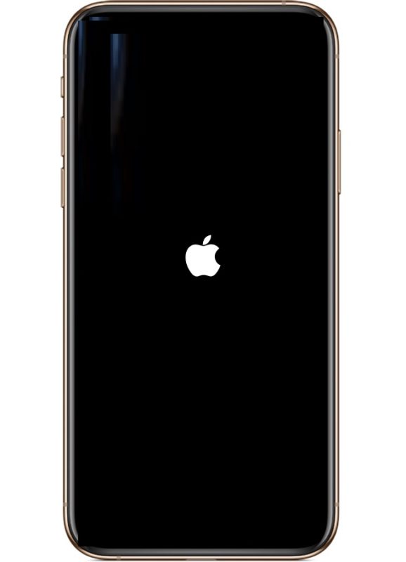 Постоянная перезагрузка iPhone XS Max